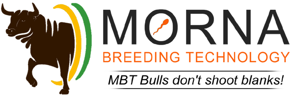 Morna Breeding Technology (MBT)