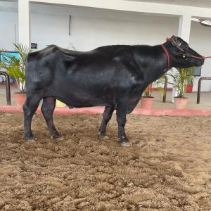 PARTAP