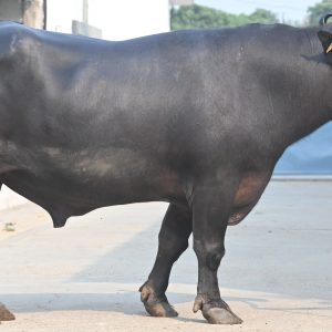 MR-060 AKASH