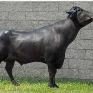 MR-168 YUG CHAMPION
